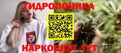хмурый Шебекино