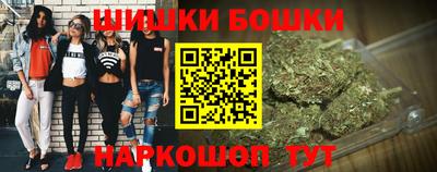 индика Шелехов