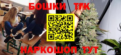 индика Шелехов