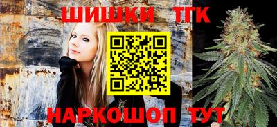 индика Шелехов