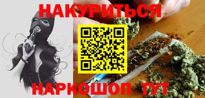 индика Шелехов