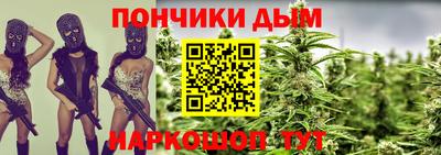 индика Шелехов