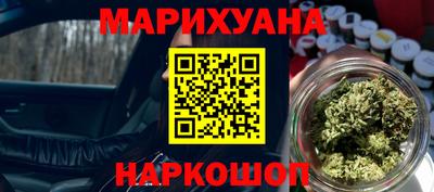 индика Шелехов